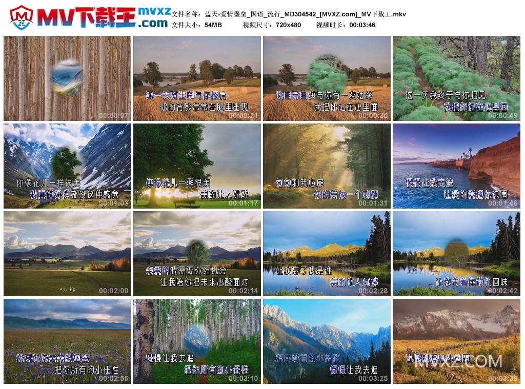蓝天-爱情堡垒_国语_流行_MD304542